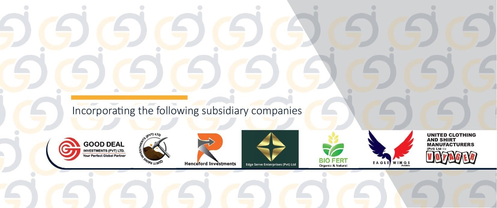 GDI HOLDINGS profile final_00012